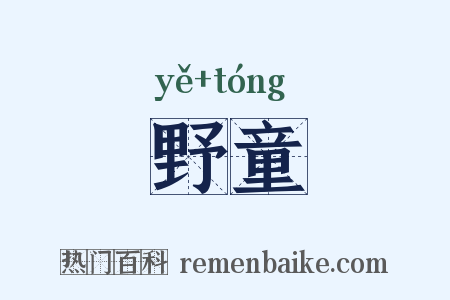 野童是什么意思的图片